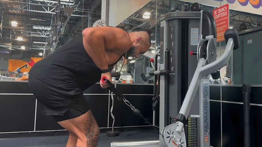 Cable Tricep Kickbacks